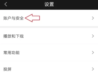 爱奇艺开启登录保护的图文教程