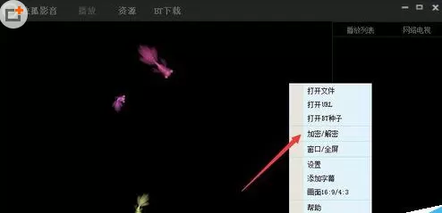 在独孤影音中实行为视频加密的详细步骤