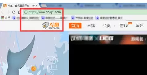 在斗鱼TV直播中实行切换线路的详细操作步骤