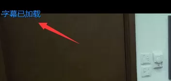 爱奇艺万能播放器手动添加字幕的详细操作方法