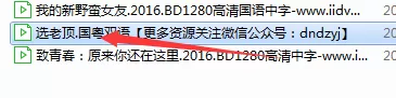 爱奇艺万能播放器手动添加字幕的详细操作方法