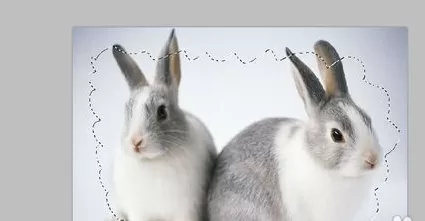 利用photoshop制作出异型边框的详细操作步骤