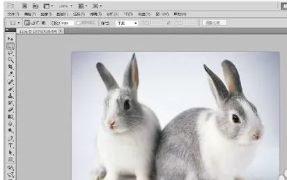 利用photoshop制作出异型边框的详细操作步骤