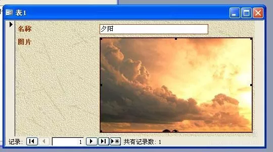 access保存图片的操作步骤