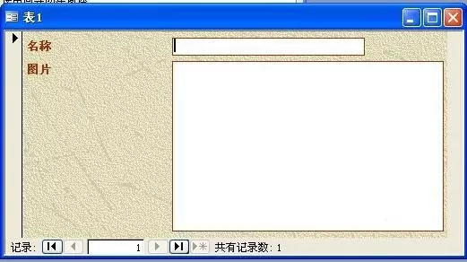 access保存图片的操作步骤
