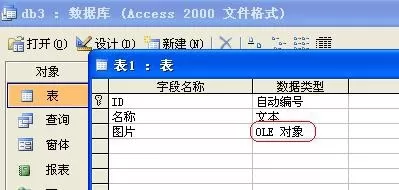 access保存图片的操作步骤