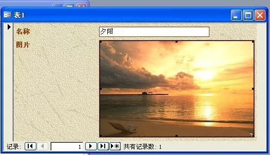 access保存图片的操作步骤