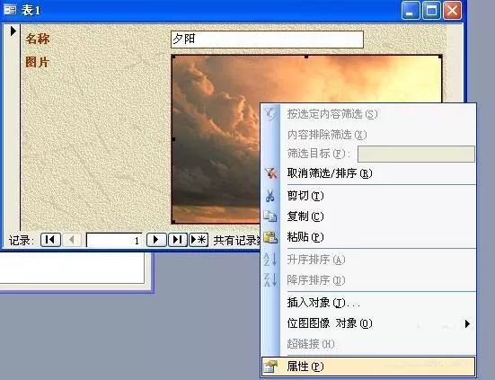 access保存图片的操作步骤