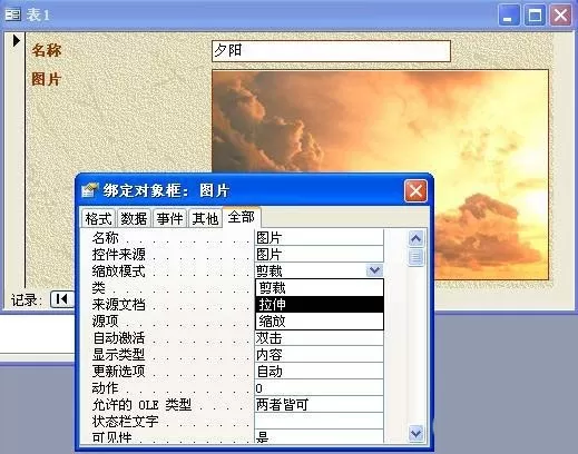 access保存图片的操作步骤