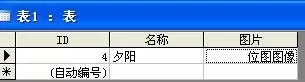 access保存图片的操作步骤