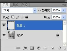 利用photoshop制作出雪花飘舞效果的详细步骤