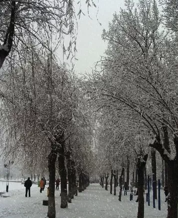 利用photoshop制作出雪花飘舞效果的详细步骤