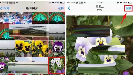 苹果iPhone7Plus中实行裁剪照片大小的详细步骤