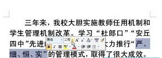 Word2007中进行设置字体大小的具体方法介绍