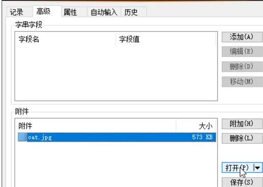 在KeePass中实行添加附件的详细步骤