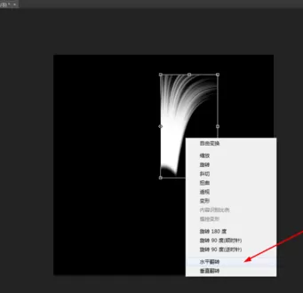 使用photoshop制作出彩色羽毛的详细步骤