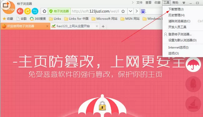 在桔子浏览器电脑版中进行清理下载记录的详细步骤