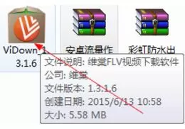 维棠FLV视频的详细安装步骤