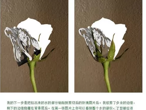 利用photoshop制作出水玫瑰的详细步骤