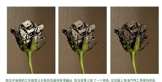 利用photoshop制作出水玫瑰的详细步骤