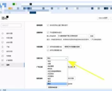 搜狗浏览器中实行自定义字体的详细方法