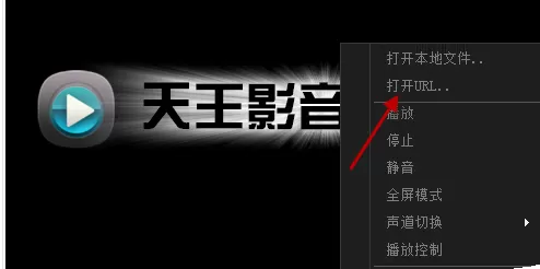在天王影音播放器中实行在线看片的详细方法