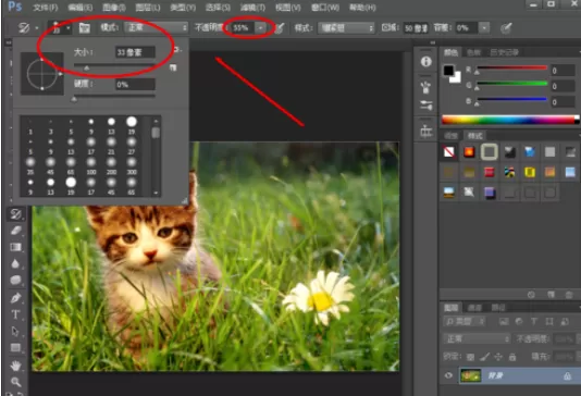 使用photoshop制作出微距效果的详细操作步骤