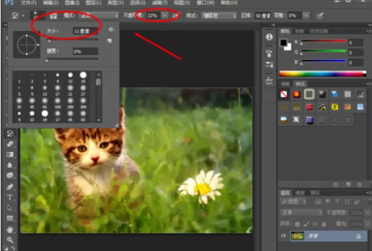 使用photoshop制作出微距效果的详细操作步骤