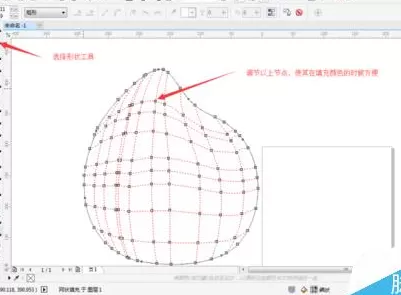 利用cdr制作出水蜜桃的具体操作步骤