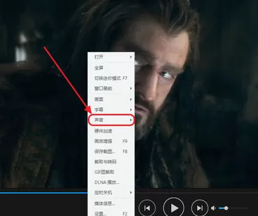 在迅雷影音中进行切换音轨的详细方法
