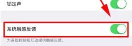 在iPhone8Plus中将触感反馈功能关闭的具体步骤
