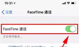 在iPhone X中实行关闭FaceTime通话的详细步骤