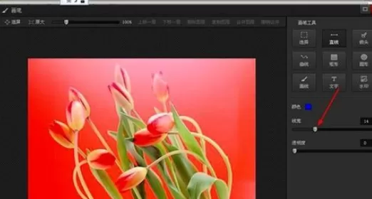 利用光影魔术手实现在图片上添加直线的具体方法