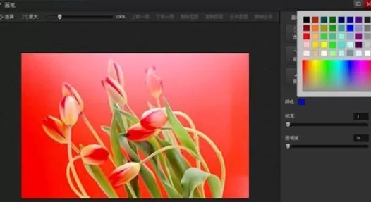 利用光影魔术手实现在图片上添加直线的具体方法