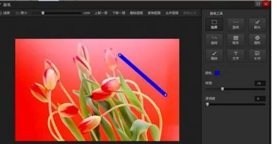 利用光影魔术手实现在图片上添加直线的具体方法