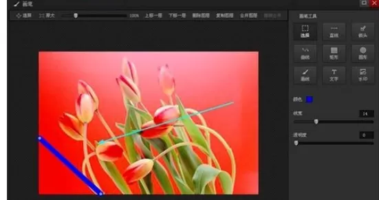 利用光影魔术手实现在图片上添加直线的具体方法