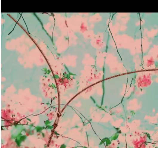 使用picsart制作出拉链图的详细操作步骤