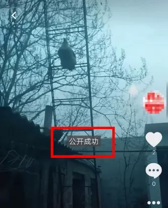 在抖音中将私密视频公开的详细操作步骤
