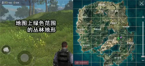 光荣使命游戏中的丛林地形有什么优劣势？