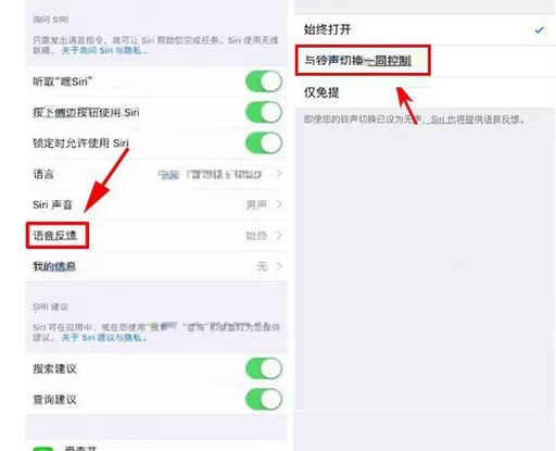 在iPhone X手机中设置Siri为静音的具体步骤