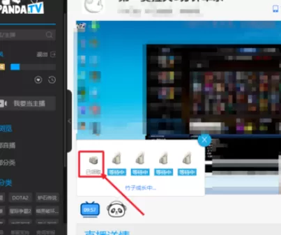 在熊猫TV中实行领取竹子的详细操作步骤