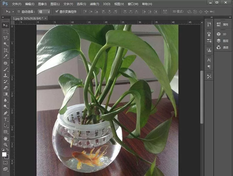 使用PS在绿萝花瓶里合成一条小金鱼的教程