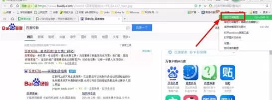 在360浏览器中使用截图功能的详细操作步骤