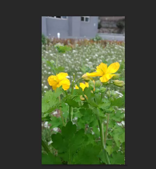 ps cs6更换人物照片背景的简单教程