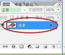 在photoshop中实行图像旋转的具体步骤介绍
