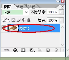 在photoshop中实行图像旋转的具体步骤介绍