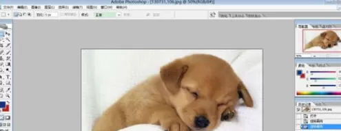 在photoshop中实行图像旋转的具体步骤介绍