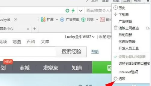 在360浏览器中将插件栏隐藏的详细步骤