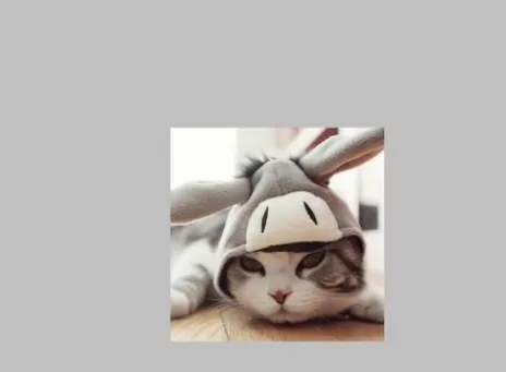 使用photoshop进行固定剪裁图片的具体步骤