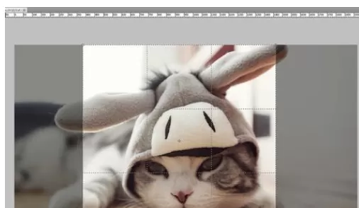 使用photoshop进行固定剪裁图片的具体步骤